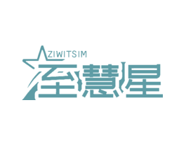 至慧星ZIWITSIM