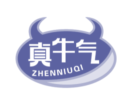 真牛气