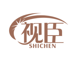视臣