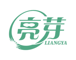 亮芽