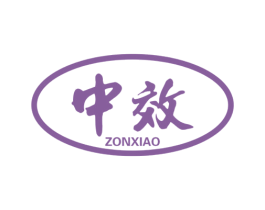 中效ZONXIAO
