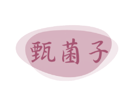 甄菌子