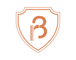 R3