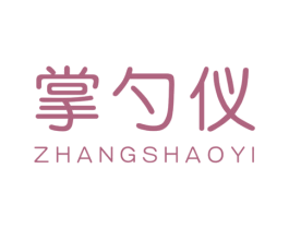 掌勺仪