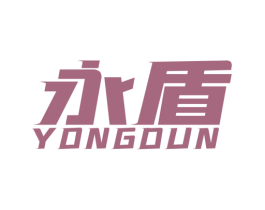 永盾