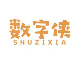 数字侠