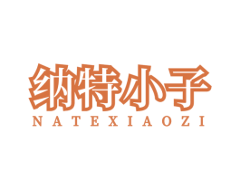 纳特小子