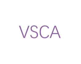 VSCA