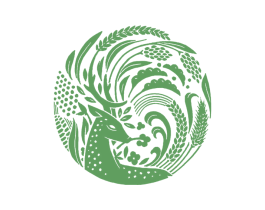 图形