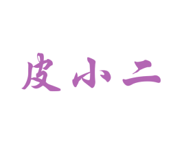 皮小二