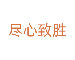 尽心致胜