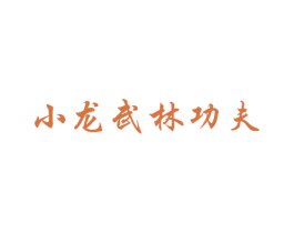 小龙武林功夫