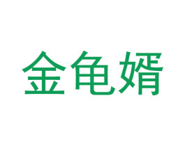 金龟婿