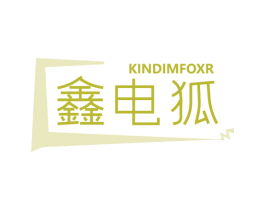 KINDIMFOXR 鑫电狐