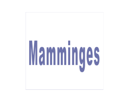 MAMMINGES