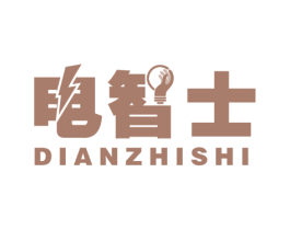 电智士