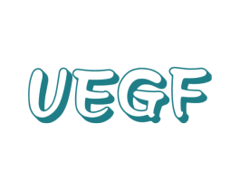 UEGF