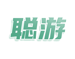 聪游