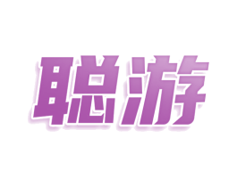 聪游