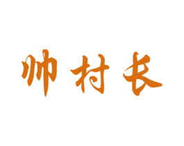 帅村长