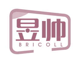 昱帅 BRICOLL