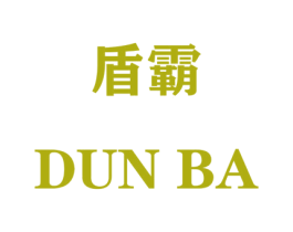 盾霸