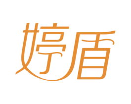 婷盾