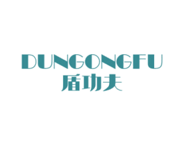 盾功夫