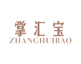 掌汇宝