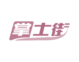 掌士街