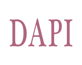 DAPI