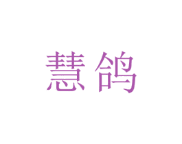 慧鴿