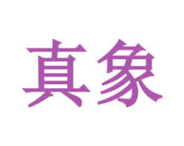 真象