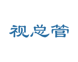 视总管