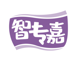 智专嘉