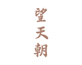 望天朝