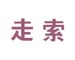 走索