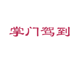 掌門駕到