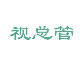 视总管