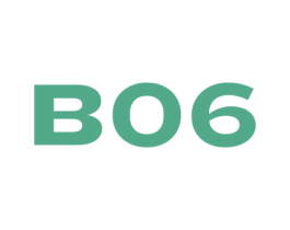 B 06