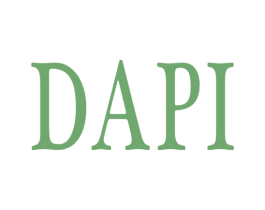 DAPI