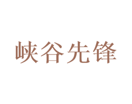 峽谷先鋒