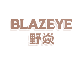 BLAZEYE 野焱