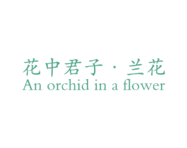 花中君子·兰花 AN ORCHID IN A FLOWER