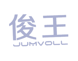 俊王JUMVOLL