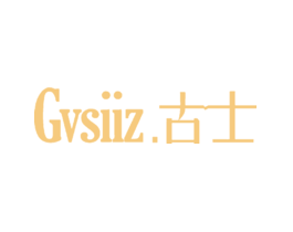 古士GVSIIZ