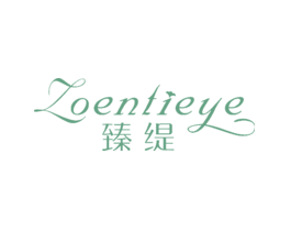 臻缇ZOENTIEYE