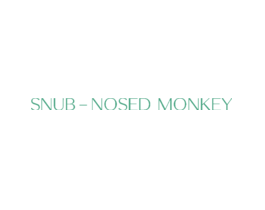 SNUBNOSEDMONKEY