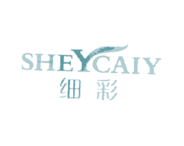 细彩SHEYCAIY