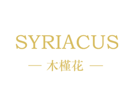 木槿花SYRIACUS